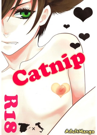 манга Hetalia dj - Catnip (Кошачья Мята) 04.04.13