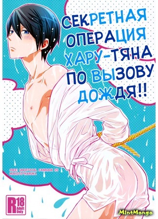 манга Free! dj - Haru-chan&#39;s ￮ Secret Rain Summoning Operation!! (Секретная операция Хару-тяна по вызову дождя.: Free! dj - Haru-chan no maruto Amagoi Dai Sakusen!!) 06.03.18