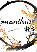 Osmanthus