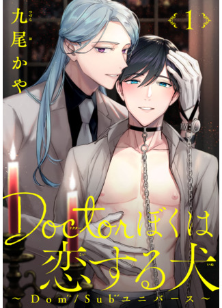 манга Doctor, I am a dog in love with you ~ Dom/Sub universe ~ (Доктор, я — влюблённый в вас пёс: Doctor Boku wa Koisuru Inu ~ Dom/Sub Universe ~) 03.11.23